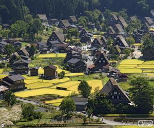 Puzzle Shirakawa-gō, Japon