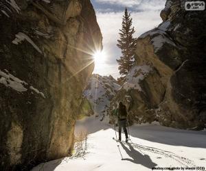 Puzzle Ski de montagne