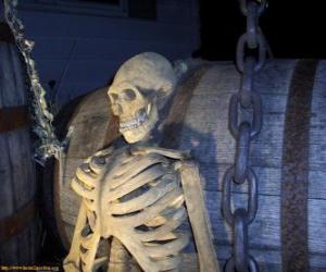 Puzzle Squelette dans la nuit de l'Halloween