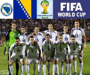 Puzzle Sélection de Bosnie-Herzégovine, Groupe F, Brésil 2014