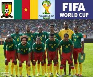 Puzzle Sélection du Cameroun, Groupe A, Brésil 2014