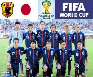 Puzzle Sélection du Japon, Groupe C,  Brésil 2014