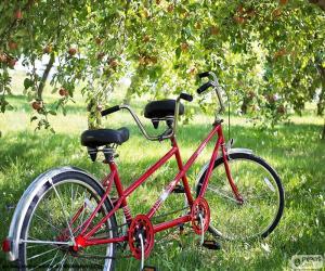 Puzzle Tandem de deux cyclistes