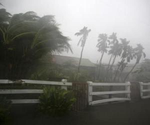 Puzzle Tempête tropicale