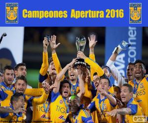 Puzzle Tigres UANL, Apertura 2016