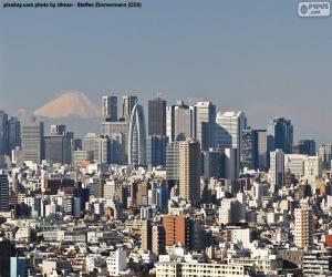 Puzzle Tokyo, Japon