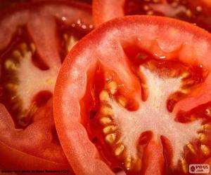 Puzzle Tranches de tomate