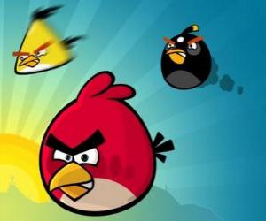 Puzzle Trois de ces oiseaux de Angry Birds