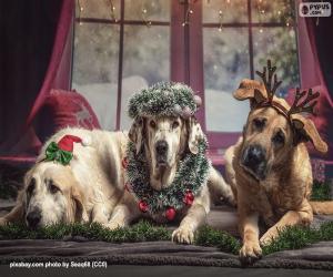 Puzzle Trois grands chiens de Noël