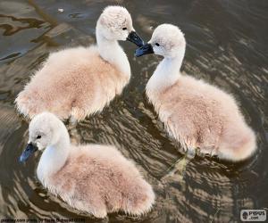 Puzzle Trois petits cygnes