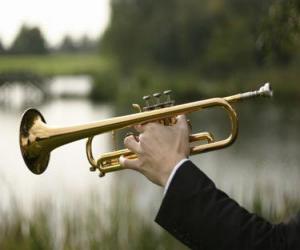 Puzzle Trompette, instrument de musique à vent 