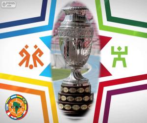 Puzzle Trophée Copa America 2015