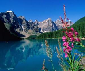 Puzzle Un lac à la végétation et le bureau de haute montagne