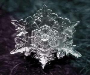 Puzzle Un petit cristal de glace qui forme les flocons de neige