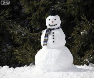 Puzzle Un élégant bonhomme de neige