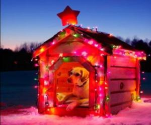 Puzzle Une maisonnette de chien ornée pour le Noël