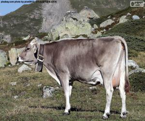 Puzzle Vache en haute montagne