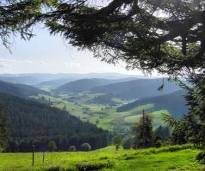 Puzzle Vallée de la forêt-noire, Allemagne