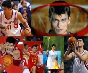 Puzzle Yao Ming se retire de basket-ball professionnel (2011)