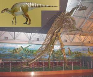 Puzzle Zhuchengosaurus est l'un des plus grands hadrosaures connus