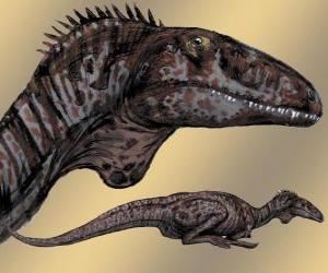 Puzzle Zupaysaurus était un théropode de taille moyenne, atteignant 4 m de long, 1,20 de haut et pesant 200 kg