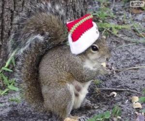 Puzzle Écureuil avec le chapeau de père Noël