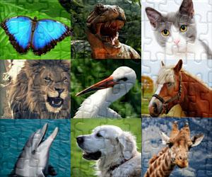 Puzzles de Animaux