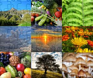 Puzzles de Nature