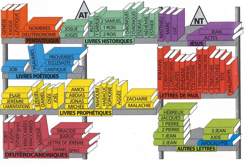 Bible - Ses livres - AT et NT puzzle