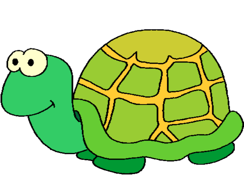 Tortue puzzle