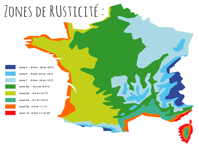 carte des rusticités puzzle