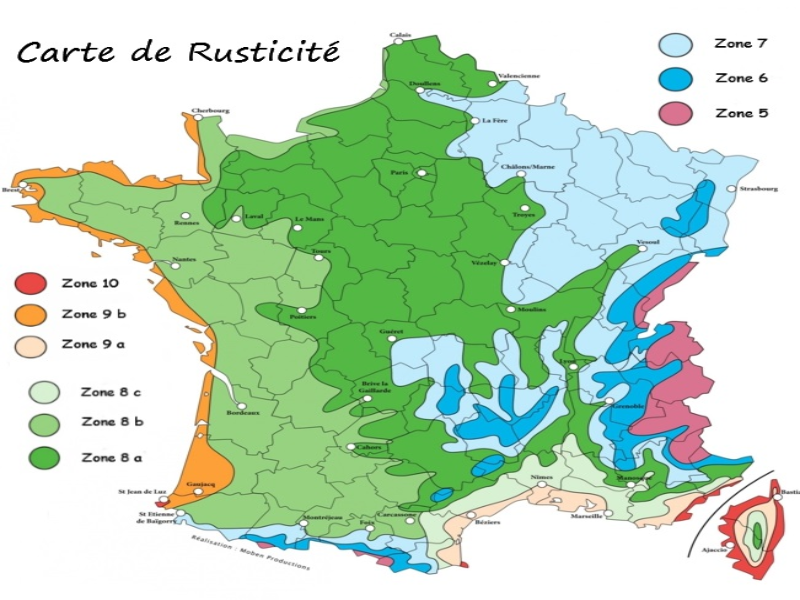 rustivité puzzle