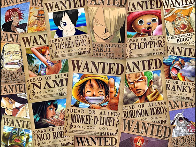 one piece avis de recherche mugiwara puzzle